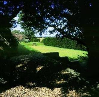 High Buston Hall - the lower lawn